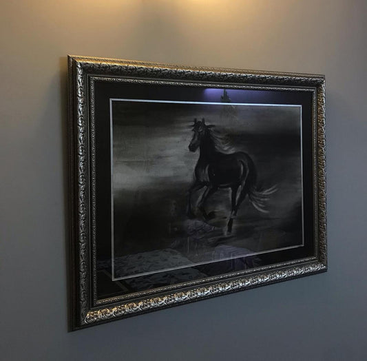 Black Stallion